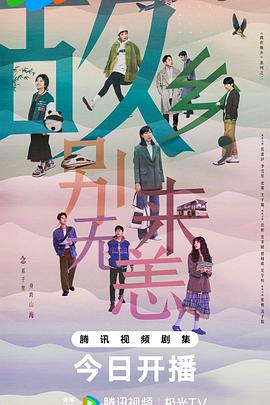 白云区运营seo优化哪家好